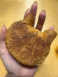 ネコワッサン